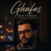 دانلود آهنگ جدید سعید فراهانی قفس
