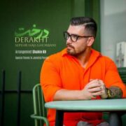 دانلود آهنگ جدید سپهر حاجی قربانی درخت