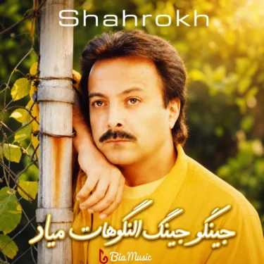 دانلود آهنگ جینگو جینگ النگوهات میاد شاهرخ