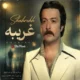 دانلود آلبوم شاهرخ به نام غریبه