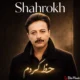 دانلود آهنگ شاهرخ حظ کردم