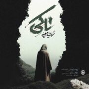 دانلود آهنگ جدید شروین معینی تا کی