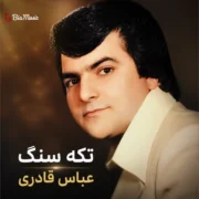 دانلود آهنگ خوش بحالت تکه سنگ که نداره دل تنگ عباس قادری
