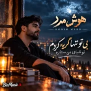 دانلود آهنگ بی تو تنها گریه کردم تو شبای بی ستاره (هوش مصنوعی)