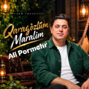 دانلود آهنگ جدید علی پرمهر قارا گوزلوم