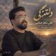 دانلود آهنگ جدید علی شاهرحمانی دلتنگی