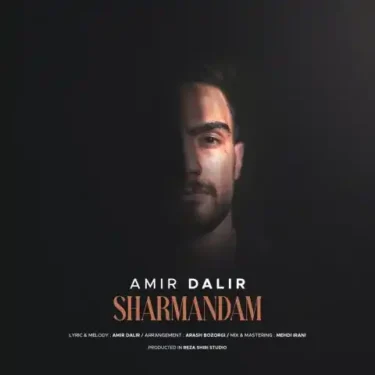 دانلود آهنگ جدید امیر دلیر شرمندم
