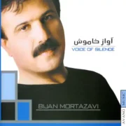 بیژن مرتضوی آواز خاموش