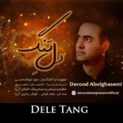 دانلود آهنگ جدید داوود ابوالقاسمی دل تنگ