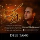 دانلود آهنگ جدید داوود ابوالقاسمی دل تنگ