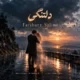 دانلود آهنگ جدید فریبرز سلیمی دلتنگی
