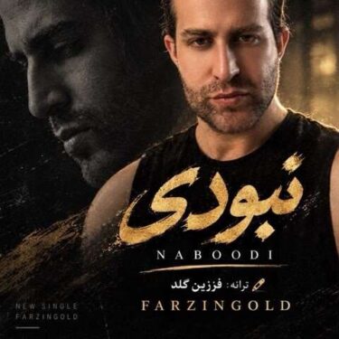 دانلود آهنگ جدید فرزین گلد نبودی