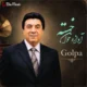 دانلود آهنگ آوازه خوان گلپا