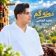 دانلود آهنگ جدید حامد الماسی دوته گم