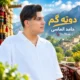 دانلود آهنگ جدید حامد الماسی دوته گم