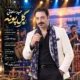 دانلود آهنگ جدید حمید سلطانی گل پونه