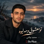 دانلود آهنگ تو معشوق و مه لیوه محمد چگنی