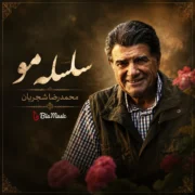 دانلود آهنگ سلسله موی دوست حلقه دام بلاست محمدرضا شجریان