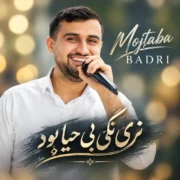 مجتبی بدری نری بگی بی حیا بود
