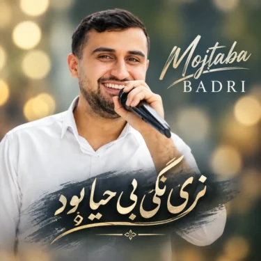 دانلود آهنگ نری بگی بی حیا بود مجتبی بدری