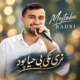 دانلود آهنگ نری بگی بی حیا بود مجتبی بدری