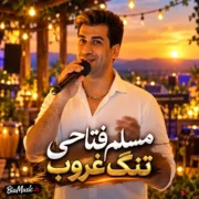 دانلود آهنگ تنگه غروبه دلم گرفته از مسلم فتاحی