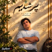 دانلود آهنگ جدید پیانیک پیر شدیم