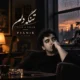 دانلود آهنگ جدید پیانیک تنگه دلم تنگه دلم دقیقا حال این آهنگه دلم