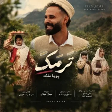 دانلود آهنگ جدید پویا ملک ترمک