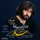دانلود آهنگ جدید رضا نیک فرجام مادر پرستار دلم