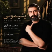 دانلود آهنگ جدید سعید عسگری پشیمونی