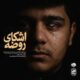 دانلود آهنگ جدید سید محمد حسین محمودی اشکای روضه