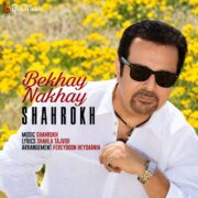 دانلود آهنگ شاهرخ بخوای نخوای
