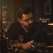 آهنگ شاین نکشید