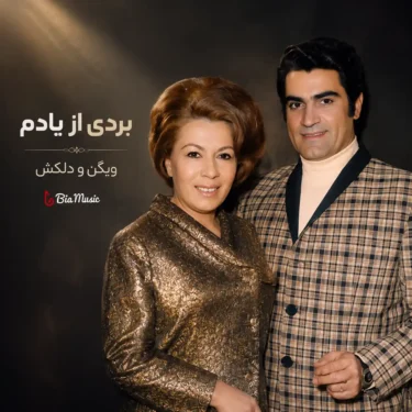 دانلود آهنگ بردی از یادم ویگن و دلکش