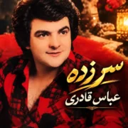 دانلود آهنگ سر زده عباس قادری (چرا سرزده رفتی هنوز نیومده رفتی حیرون موندم)