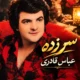 دانلود آهنگ سر زده عباس قادری (چرا سرزده رفتی هنوز نیومده رفتی حیرون موندم)