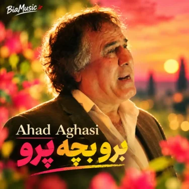دانلود آهنگ برو بچه پررو احد آغاسی