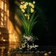 دانلود آلبوم علیرضا قربانی به نام جلوه گل