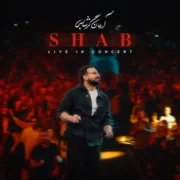 دانلود آهنگ جدید آرمان گرشاسبی شب (کنسرت زنده)