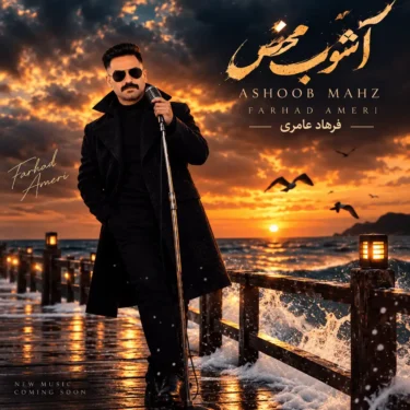 دانلود آهنگ جدید فرهاد عامری آشوب