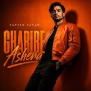 فریاد رسام غریب آشنا