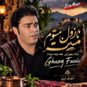 دانلود آهنگ تیات یجورایی همه چینه مونه (نازول مست مستوم) قاسم فاضلی