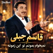 دانلود آهنگ نمیخوام بمونم تو این زمونه قاسم جبلی