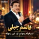 دانلود آهنگ جدید قاسم جبلی نمیخوام بمونم تو این زمونه