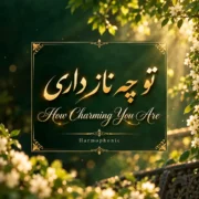 دانلود آهنگ جدید هارموفنیک تو چه ناز داری