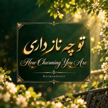 دانلود آهنگ جدید هارموفنیک تو چه ناز داری