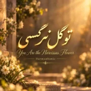 دانلود آهنگ جدید هارموفنیک تو گل نرگسی (هوش مصنوعی)
