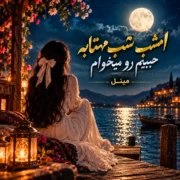 دانلود آهنگ جدید مینل امشب شب مهتابه (ورژن کنسرت)