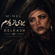 دانلود آهنگ بردی از یادم مینل (بردی از یادم دادی بر بادم با یادت شادم)